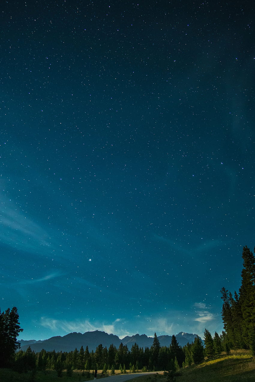 Naturaleza, árboles, montañas, noche, cielo estrellado fondo de pantalla del teléfono