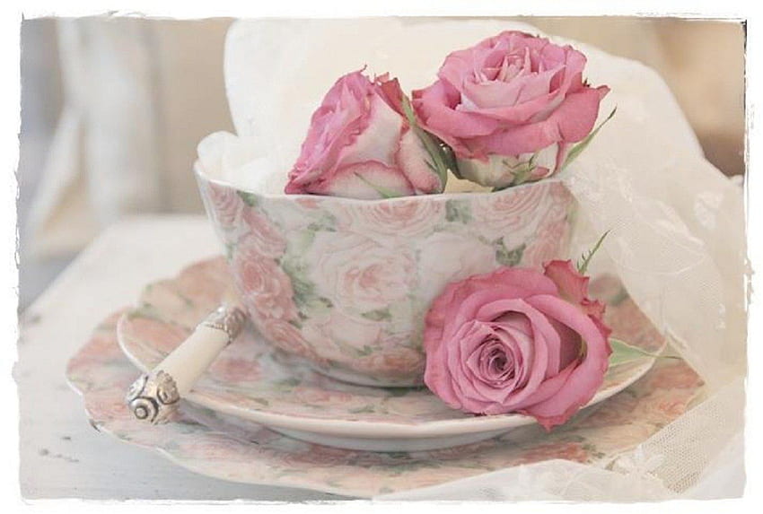 rosas cor de rosa em xícara de chá, rosas cor de rosa, natureza morta, flores, xícara de chá papel de parede HD