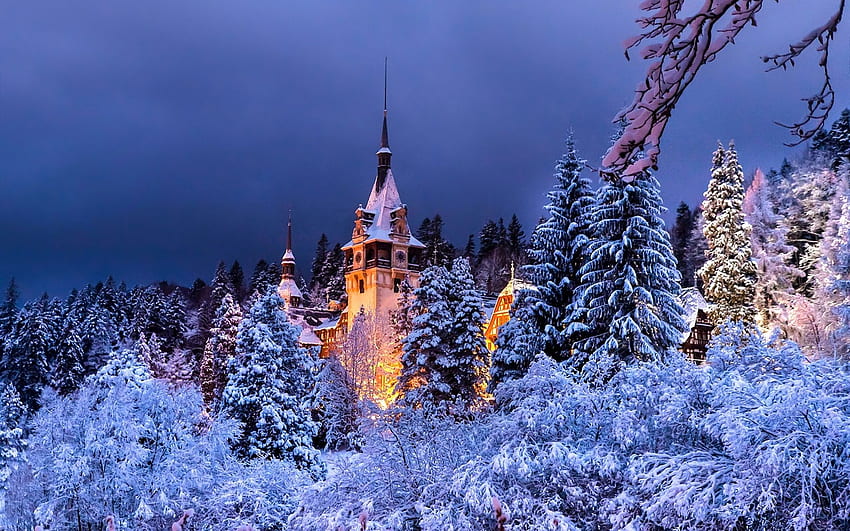 Romania, Sinaia, Peles castle, winter, trees, snow, night, lights, Romania at Night HD wallpaper