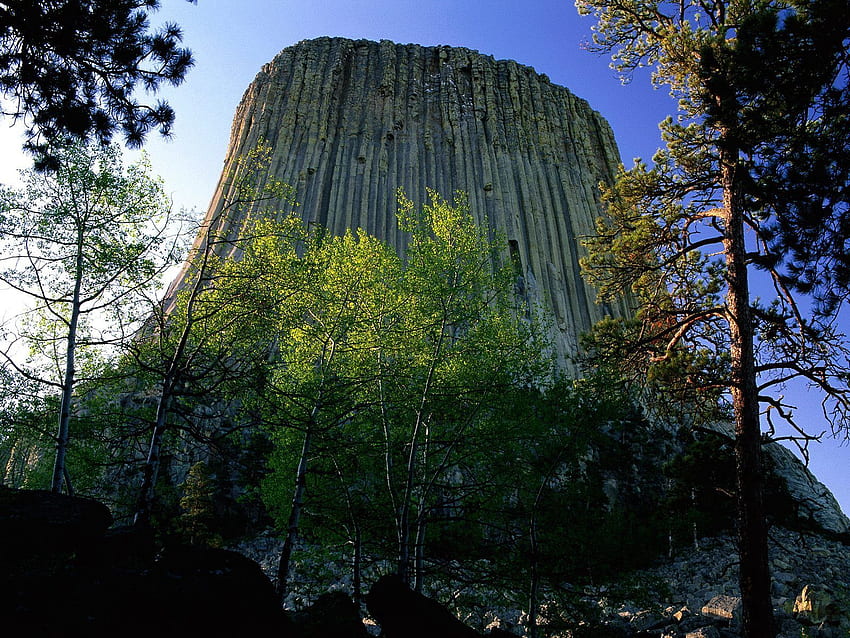 Devils Tower National Monument, Nature, Trees, Mountain, Height, Wyoming HD wallpaper