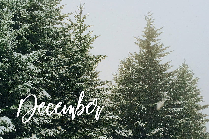 December Christmas . Christmas , Christmas , Christmas ipad, Winter Aesthetic HD wallpaper