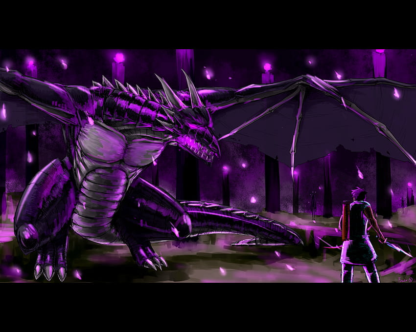 Ender Dragon Wallpapers 75 pictures