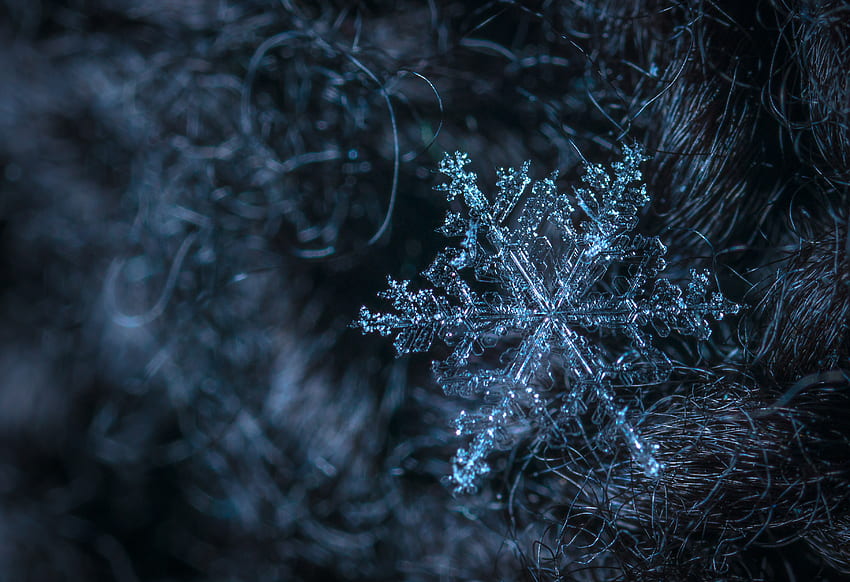 Eis, Makro, Struktur, Muster, Schneeflocke HD-Hintergrundbild