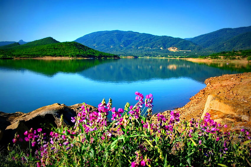 Kristal mavi göl, nehir, kristal, sakin, güzel, sessiz, kıyı, yansıma, su, güzel, kayalar, göl, aynalı, doğa, gökyüzü, çiçekler, açık, güzel HD duvar kağıdı