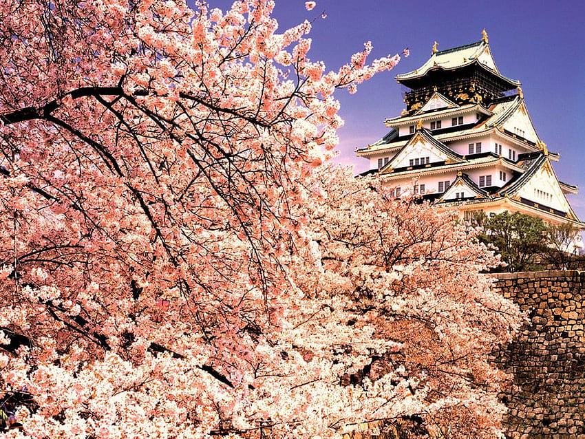 Osaka Castle . Latest HD wallpaper