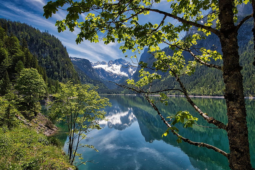 Avusturya'da Alp Gölü, Alpler, yansıma, ağaçlar, Avusturya, sakin, dağlar, göl HD duvar kağıdı