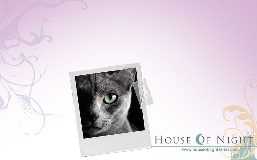 Neferet's cat or Zoey Redbird's cat, zoey, neferet, cat, house of night novels HD wallpaper