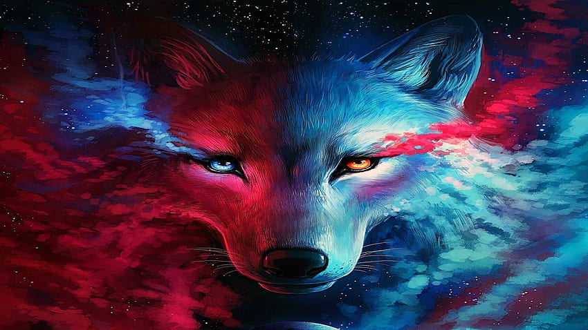 Anime Wolf Girl Galaxy, Cool Animal Galaxy HD wallpaper