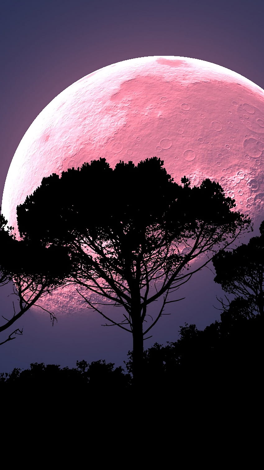 Moon, tree, hop, night, full moon, planet, Pink Moon HD phone wallpaper