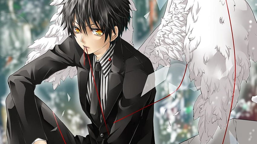 Anime Boy, Anime Male Fallen Angel HD wallpaper