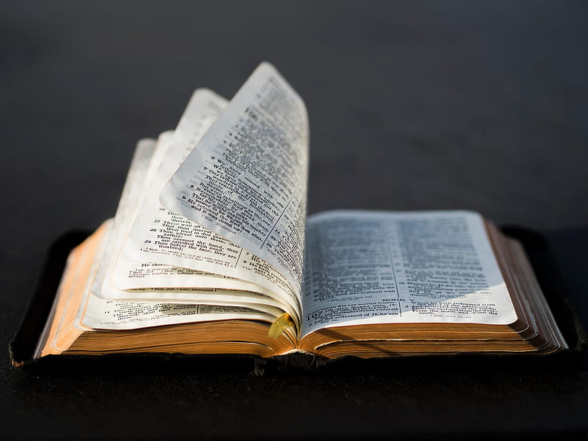 Open, bible, rock, closeup, religious, religion, wall, read, Public domain  , book, background, text, reflection, christian, binding, scripture, dark,  pages HD wallpaper | Pxfuel