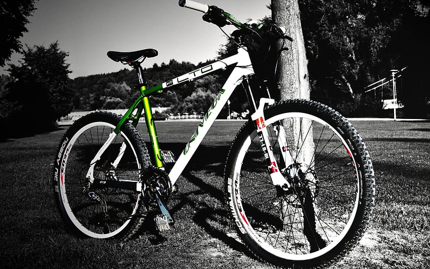 Bicycle Full and Background HD wallpaper | Pxfuel