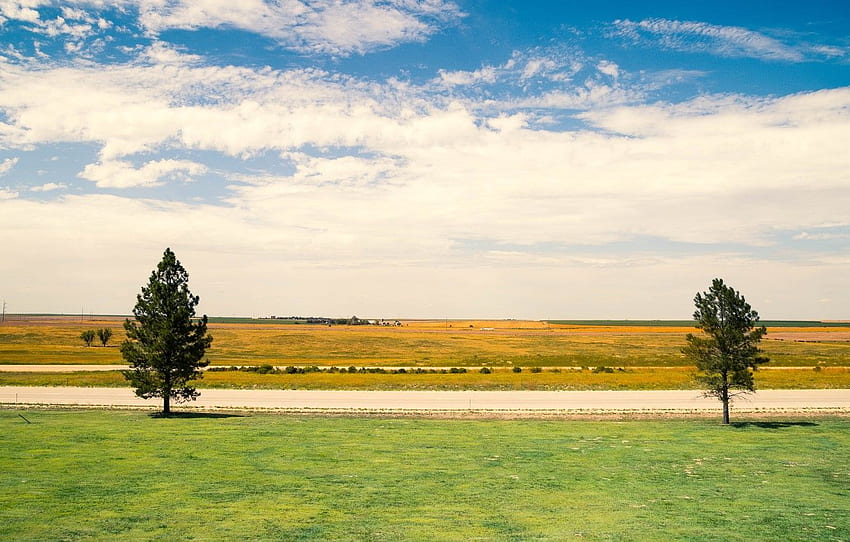 green, colors, road, kansas, trees, landscape, grey, yellow, usa, state for , section пейзажи HD wallpaper