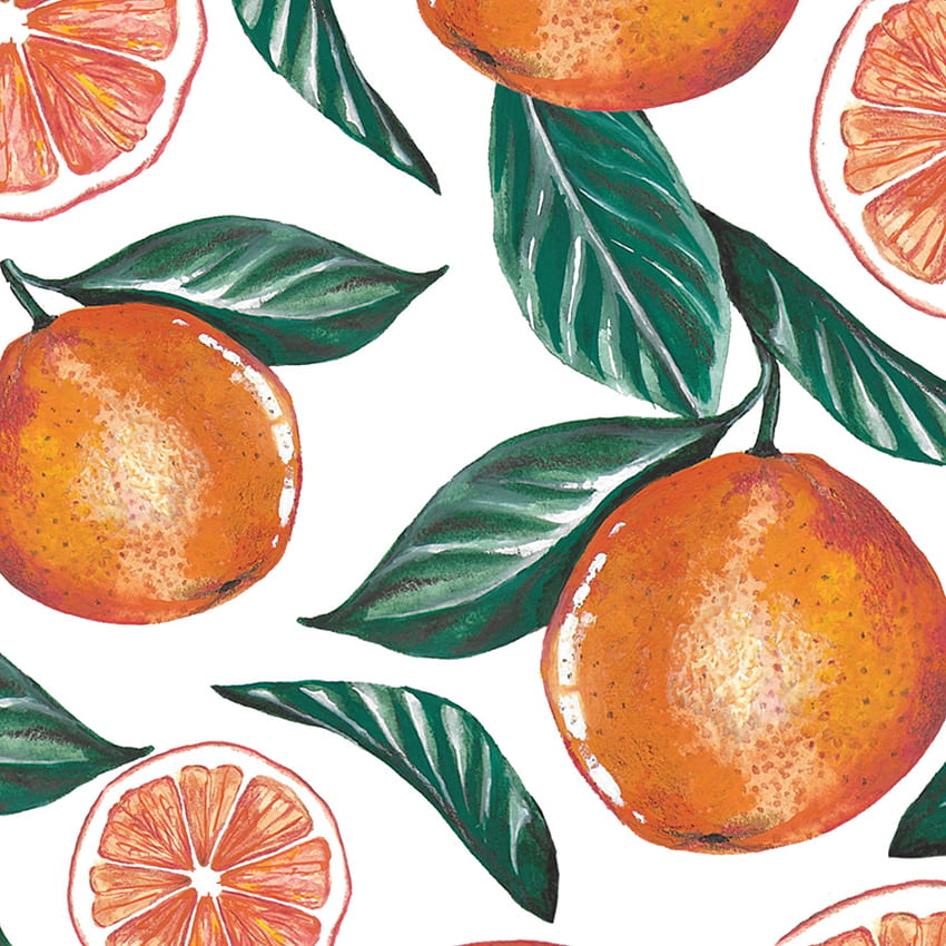 Phone - Oranges – Paper Parade, Orange Fruit HD phone wallpaper