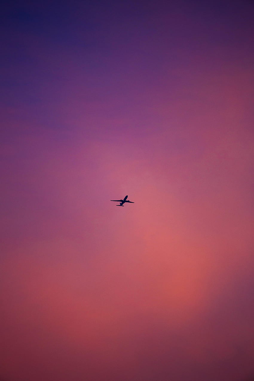 Sky, Pink, Minimalism, Flight, Plane, Airplane HD phone wallpaper