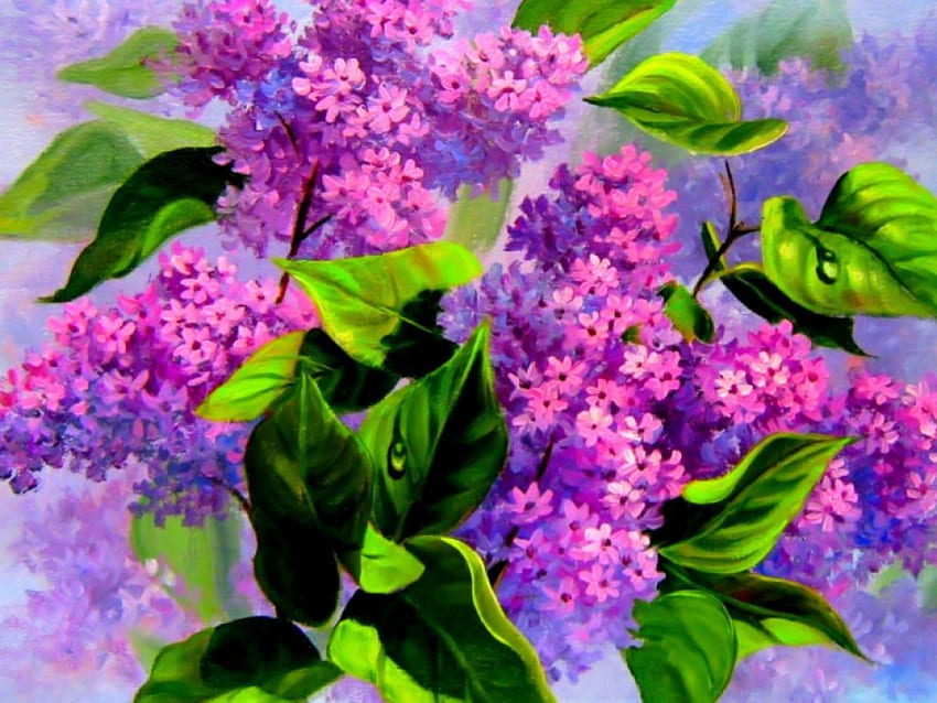 Spring Greeetings, purple, leaves, nature, flowers HD wallpaper