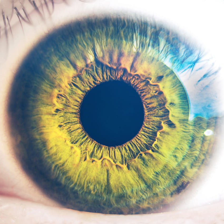 目 人間性 瞳孔 ボディサイエンス フレアブルー 眼科 HD電話の壁紙