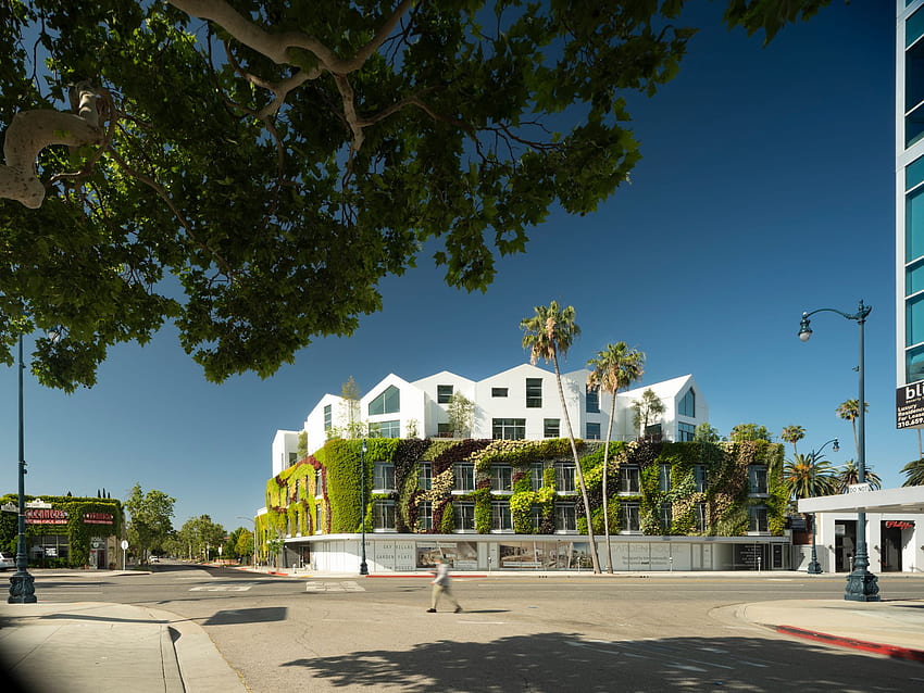 MAD Reveals Gardenhouse, LA's High Density Urban Antidote. *, Mad City HD wallpaper