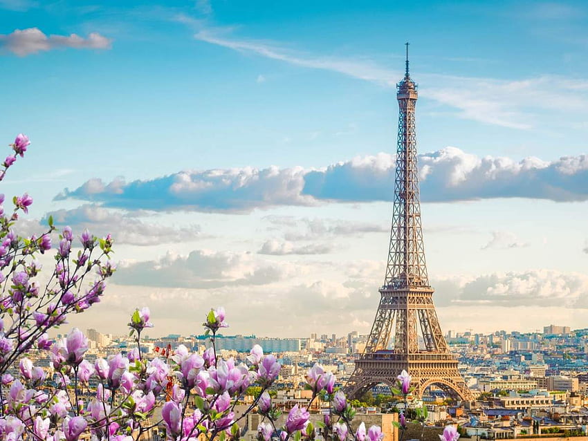 Eiffel Tower set to reopen on July 16. Times of India Travel, Paris in Spring HD wallpaper