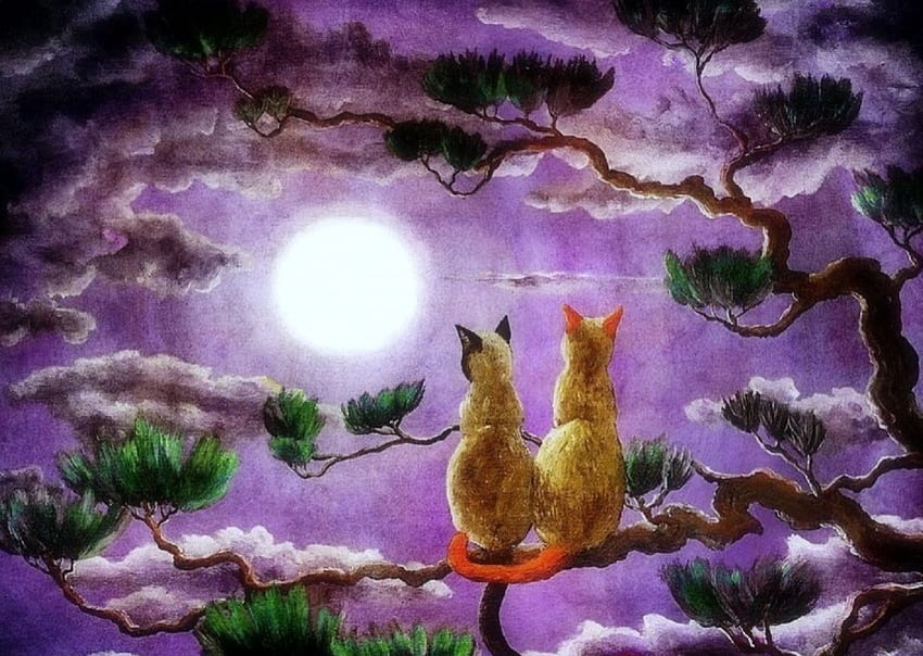Dreaming of Two Siamese Cat, pine tree, love four seasons, animals, cats, draw and paint, paintings, moons HD wallpaper