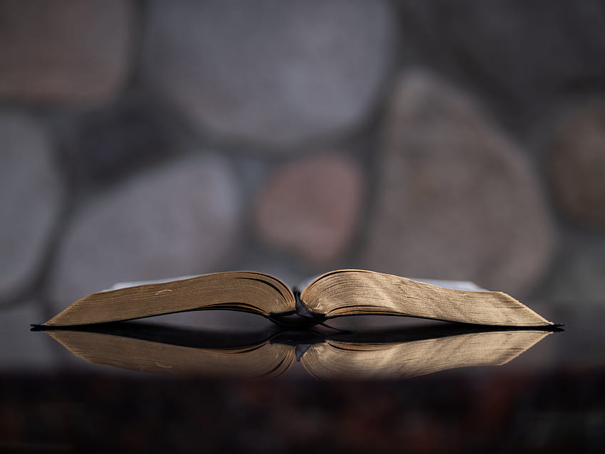 open, bible, rock, closeup, religious, religion, wall, read, Public domain , book, background, text, reflection, christian, binding, scripture, dark, pages HD wallpaper