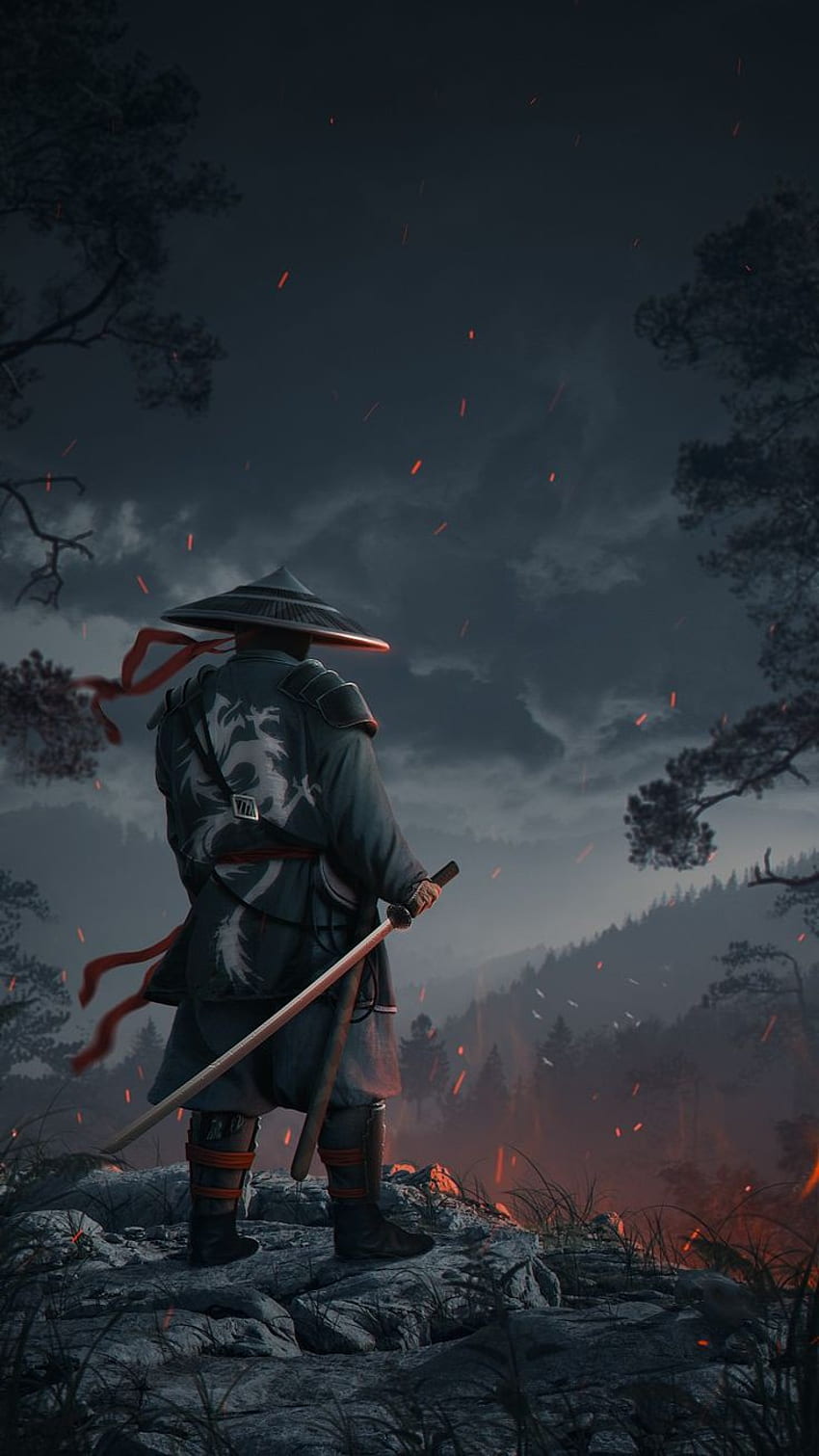 Samurai, sky, art, japan HD phone wallpaper