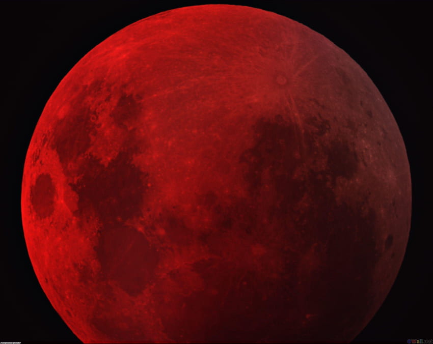 Red Moon, Crimson Moon HD wallpaper