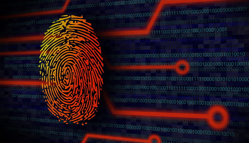 What is a Forensic QDiscovery Make your case [] for your , Mobile & Tablet. Explore Forensic Background. Forensic Background, Digital Forensics HD wallpaper