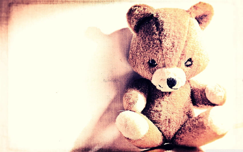 Teddy Bear, Shine, Light, , , Toy, Shadow HD wallpaper