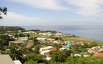 950 Dominica Beach Stock Photos Pictures  RoyaltyFree Images  iStock