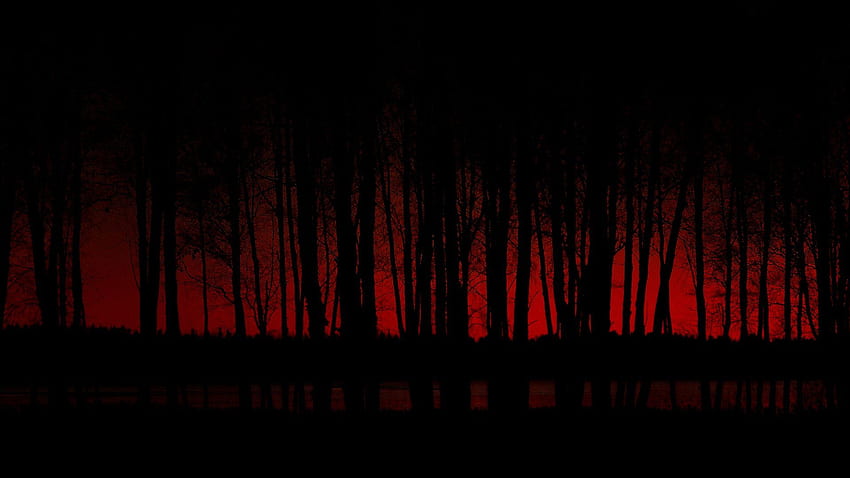 Red forest night blue art red forest rabbit autumn luminos tyler  smith HD wallpaper  Peakpx