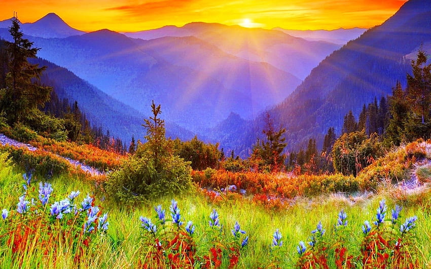 Spring Sunrise HD wallpaper | Pxfuel