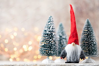 Christmas gnome HD wallpapers | Pxfuel