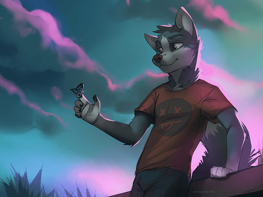 Furries Wolf Furry and background , Cool Furry HD wallpaper
