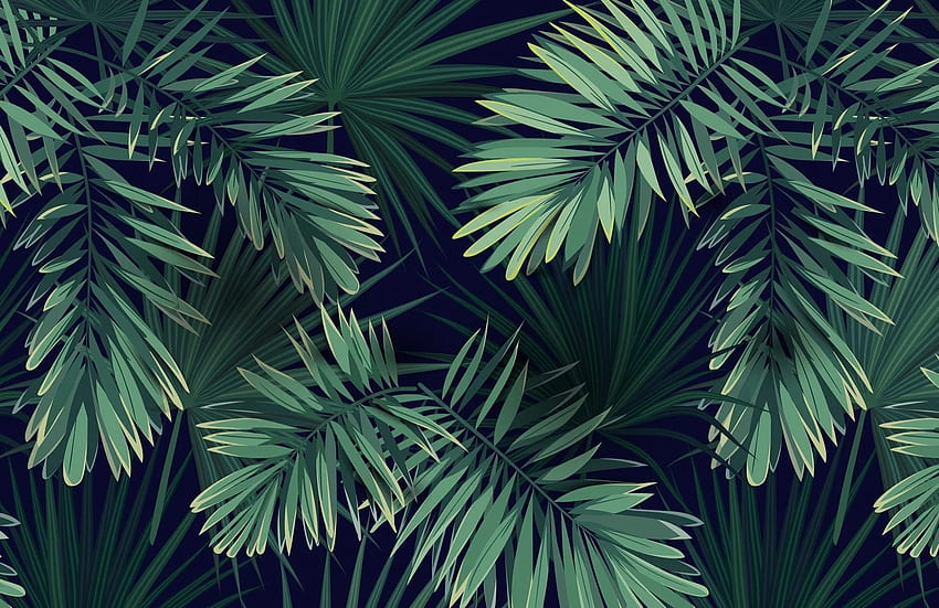 녹색 열대 식물 벽화, 검은 열대 HD 월페이퍼