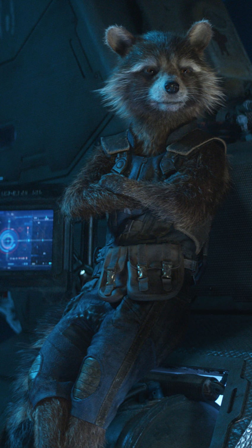rocket raccoon, avengers infinity war, 2018 movies, movies, for iPhone 6, 7, 8 HD phone wallpaper