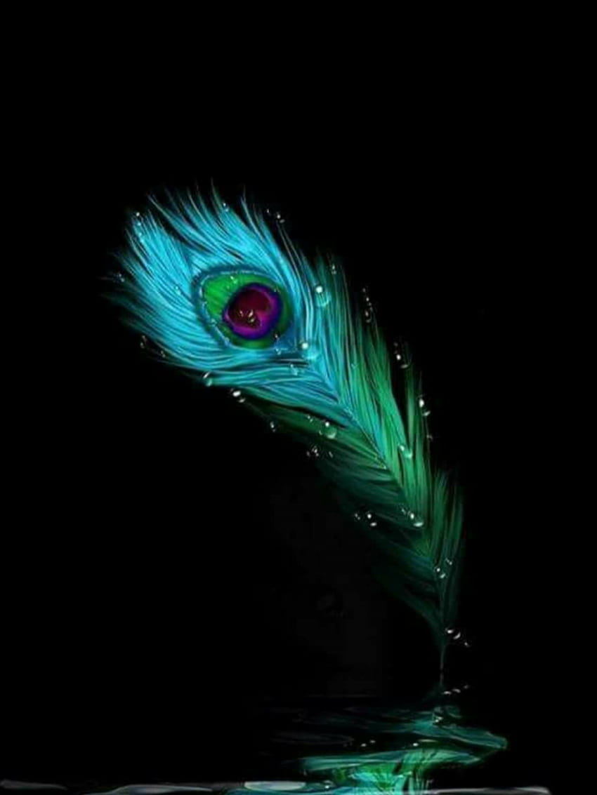 Feathers Wizards and Superheroes D Krishna Krishna [] for your , Mobile & Tablet. Explore Cute Feather . Cute Feather , Rainbow Feather , Feather Flower HD phone wallpaper