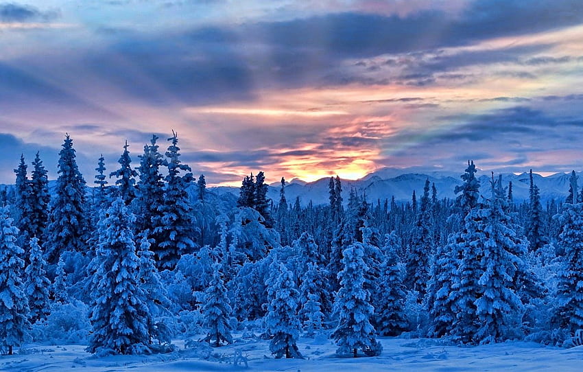 winter, snow, trees, mountains, Alaska, Alaska HD wallpaper