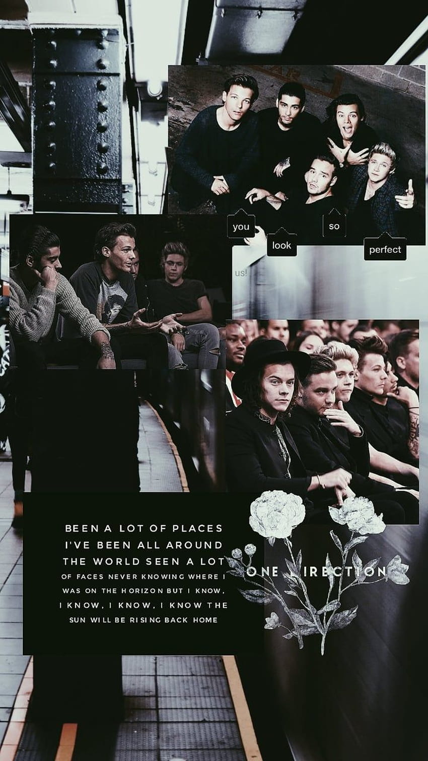1d, Niall Horan, Zayn Malik 그리고 One Direction - One Direction Aesthetic Lockscreen - & Background, One Direction Lyric HD 전화 배경 화면