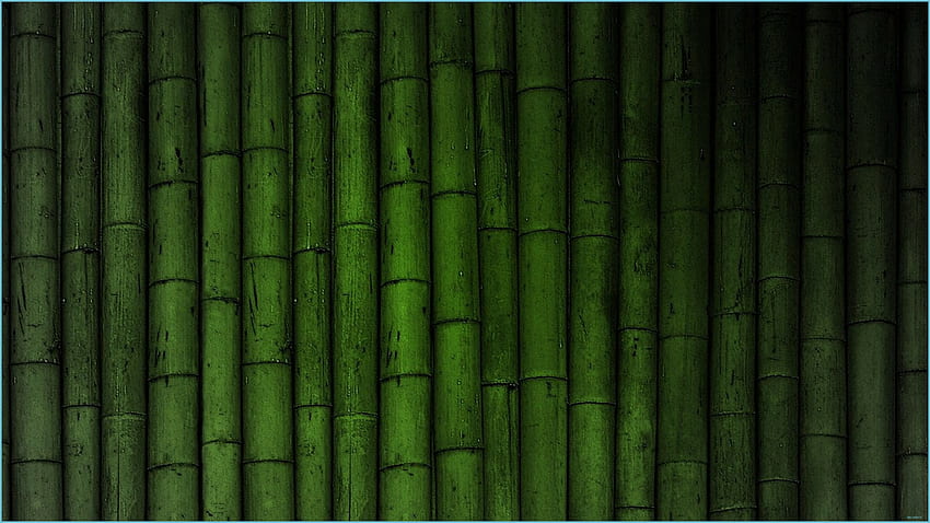 Bamboo Background, Minimalist Bamboo HD wallpaper