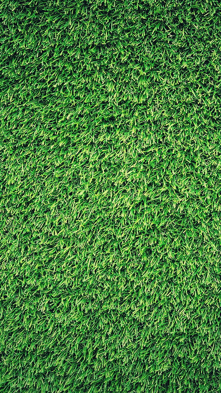 Saya tidak memiliki rumput hijau di halaman saya karena kekeringan jadi saya wallpaper ponsel HD