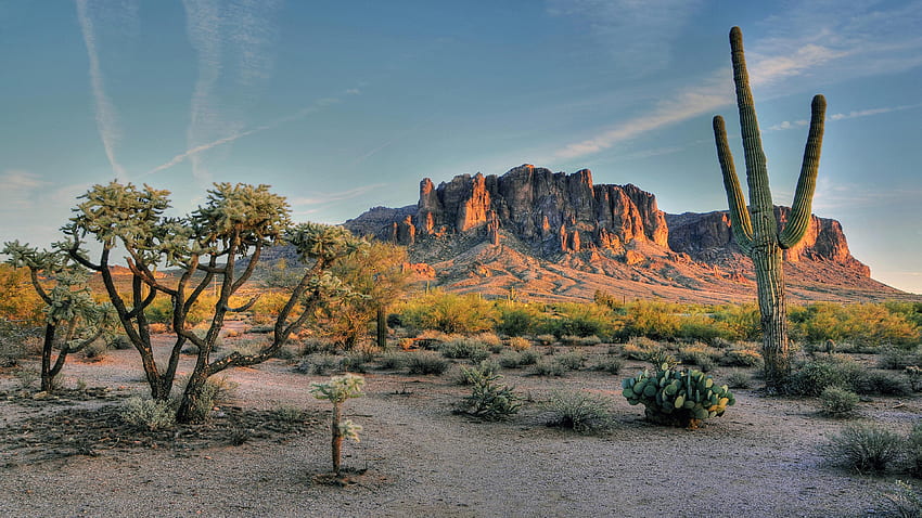 Superstition Mountains Mountain Range In Field Phoenix Arizona Usa Landscape Desert Landscapes All For Your Background HD wallpaper