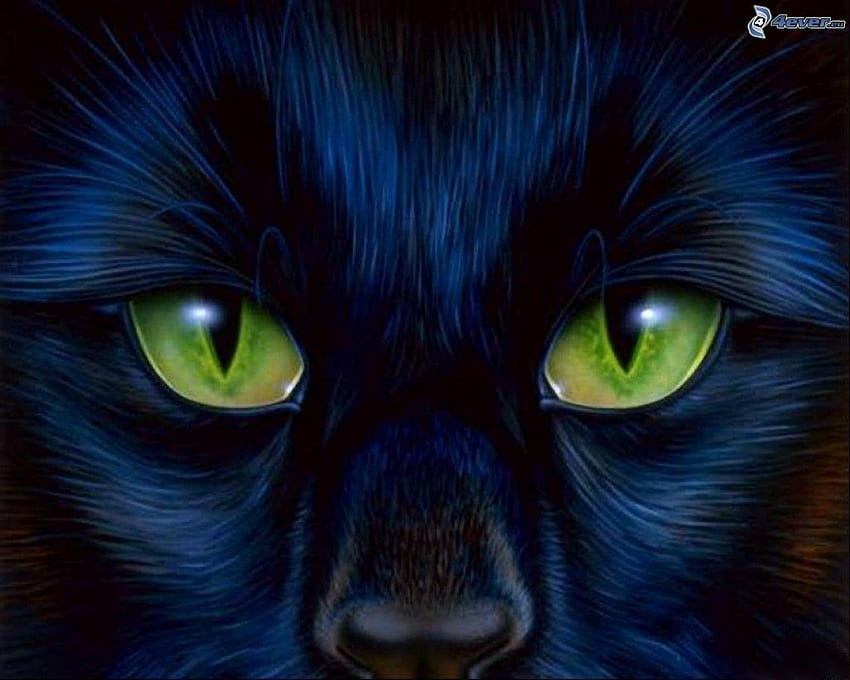 Black cat's face, Cartoon Cat Face HD wallpaper
