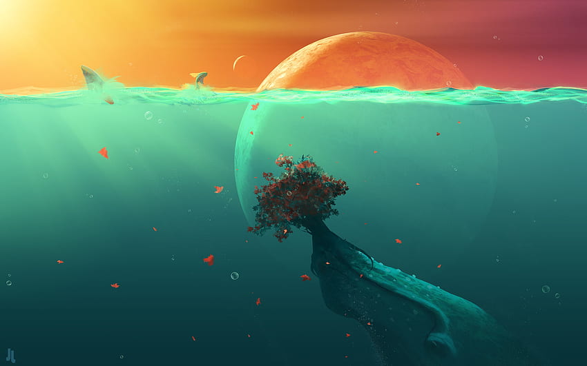 With Deep Meaning - - - Tip HD wallpaper | Pxfuel