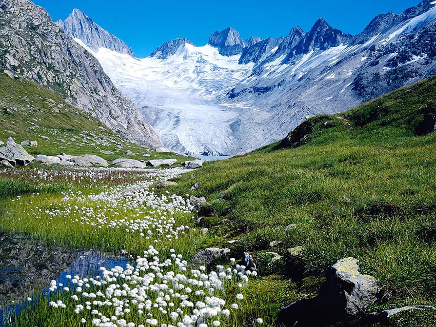 Switzerland, Nature, Cool Nature , Amazing Landscape, Organic, Plants, Nature For Windows, Green, Fresh, Health, - The HD wallpaper