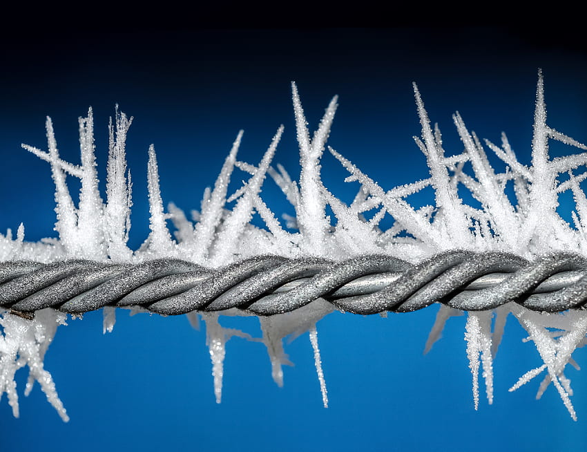 Snow, Macro, Frost, Hoarfrost, Wire HD wallpaper