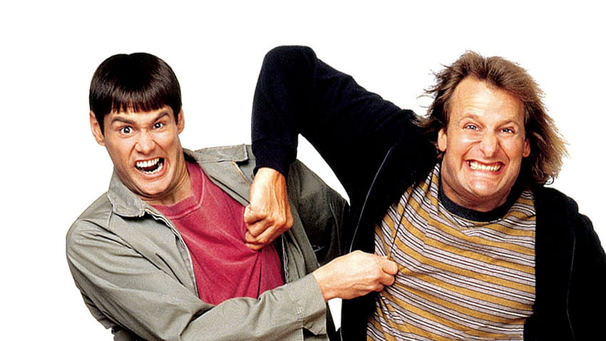 dumb, And, Dumber, Comedy, Family, Humor, Funny, 1 / and Mobile Background, Dumb and Dumber Computer HD wallpaper