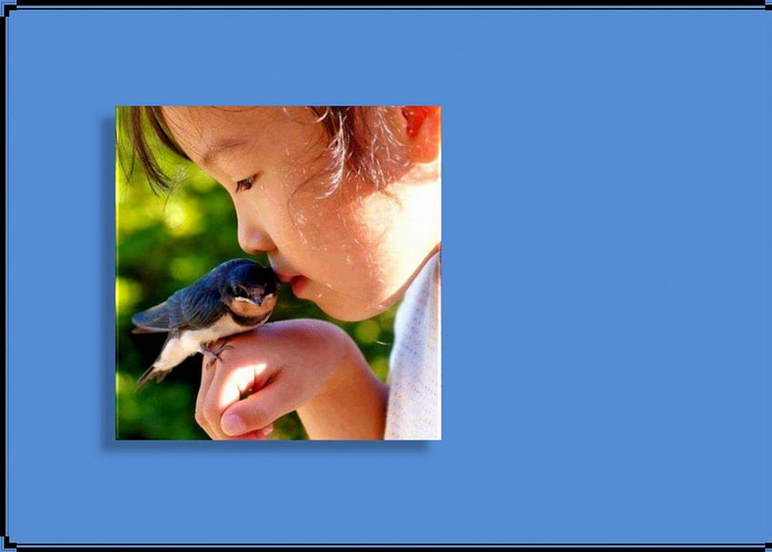 wzajemnie, ptak, dziecko, tajemnica Tapeta HD