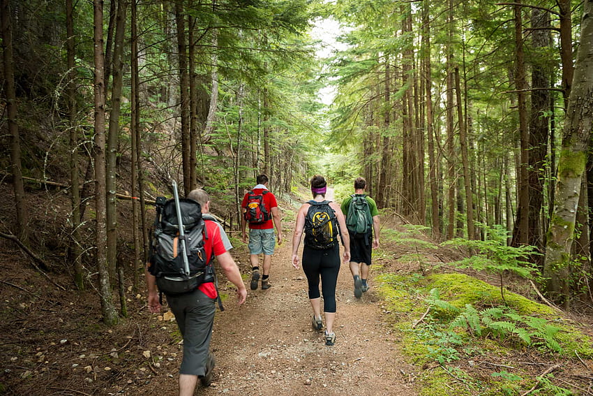 Hiking , Sports, HQ Hiking . 2019, Hiking Trail HD wallpaper