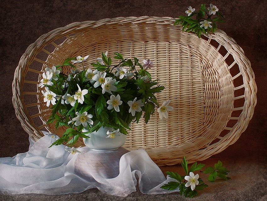 Still Life, white, vase, spring, pretty, petals, nature, flowers, lovely HD wallpaper